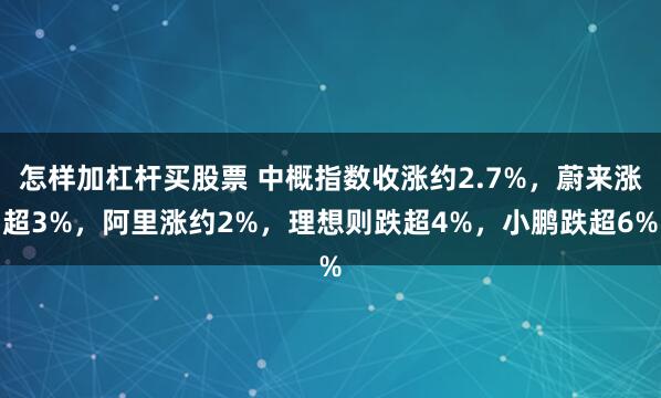 怎样加杠杆买股票 中概指数收涨约2.7%，蔚来涨超3%，阿里涨约2%，理想则跌超4%，小鹏跌超6%