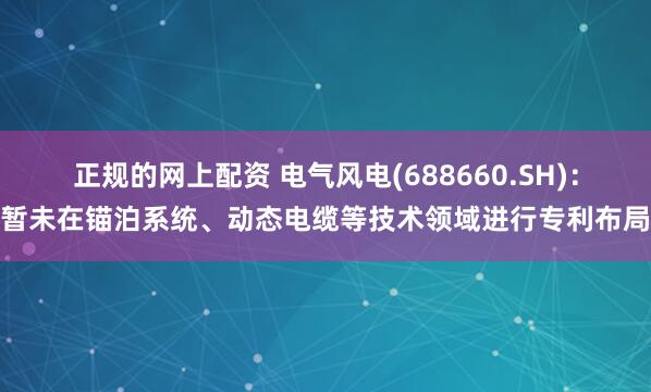 正规的网上配资 电气风电(688660.SH)：暂未在锚泊系统、动态电缆等技术领域进行专利布局