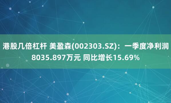 港股几倍杠杆 美盈森(002303.SZ)：一季度净利润8035.897万元 同比增长15.69%