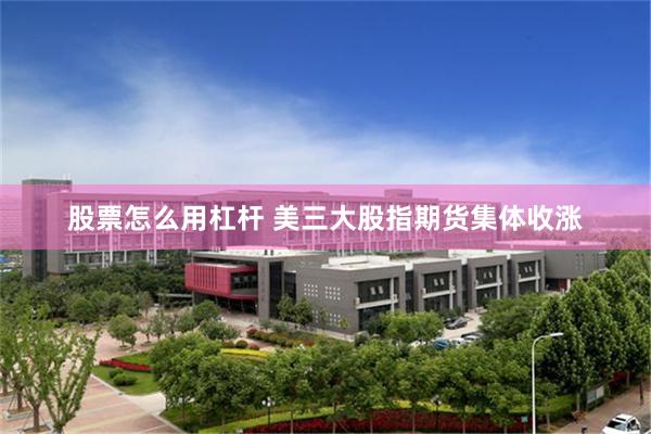 股票怎么用杠杆 美三大股指期货集体收涨