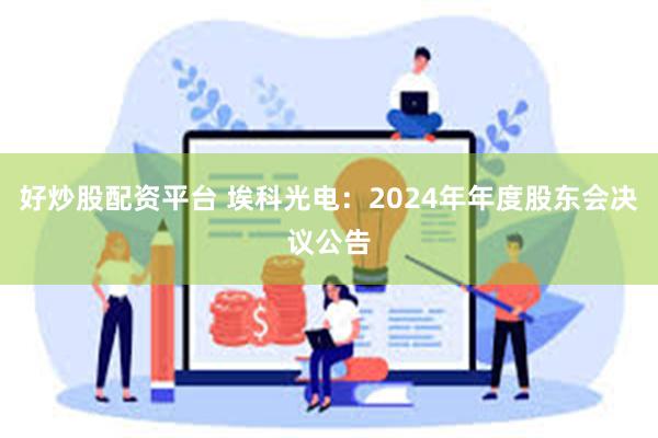 好炒股配资平台 埃科光电：2024年年度股东会决议公告