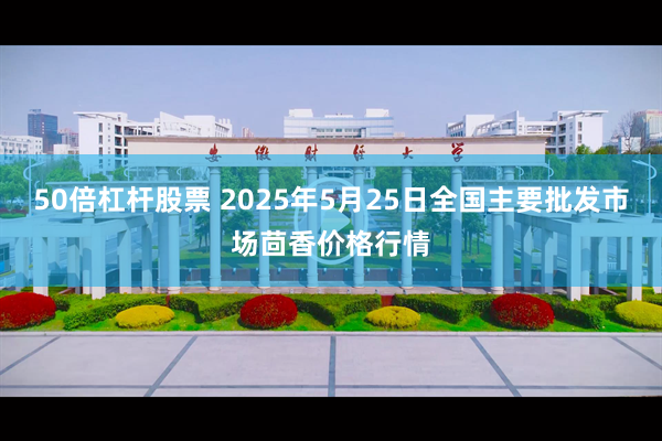 50倍杠杆股票 2025年5月25日全国主要批发市场茴香价格行情