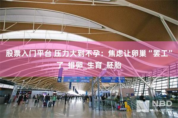 股票入门平台 压力大到不孕：焦虑让卵巢“罢工”了_排卵_生育_胚胎