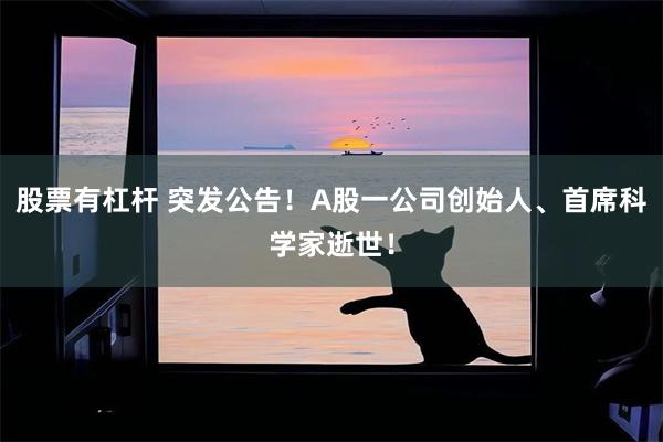 股票有杠杆 突发公告！A股一公司创始人、首席科学家逝世！