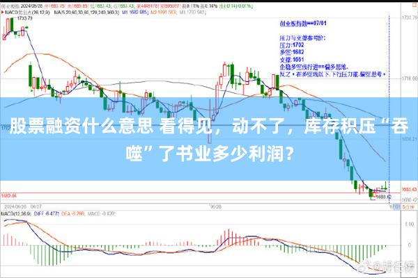 股票融资什么意思 看得见，动不了，库存积压“吞噬”了书业多少利润？