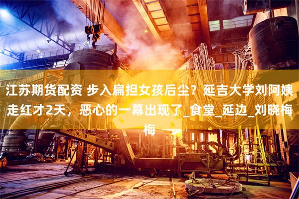 江苏期货配资 步入扁担女孩后尘？延吉大学刘阿姨走红才2天，恶心的一幕出现了_食堂_延边_刘晓梅